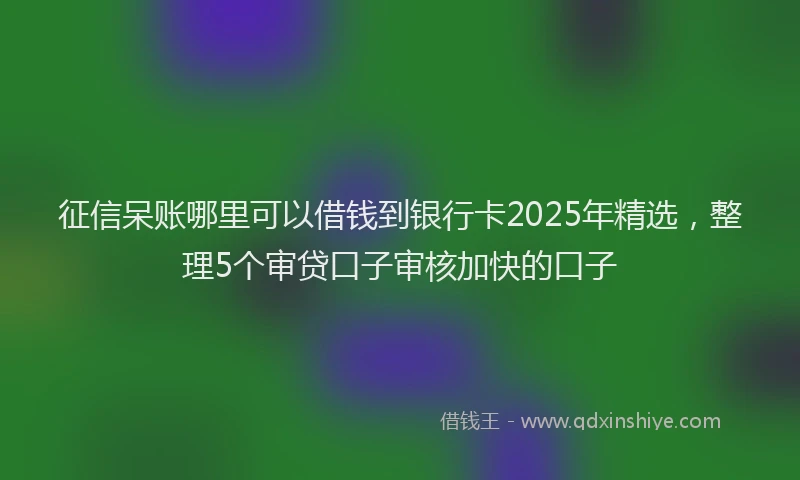 征信呆账哪里可以借钱到银行卡2025年精选，整理5个审贷口子审核加快的口子
