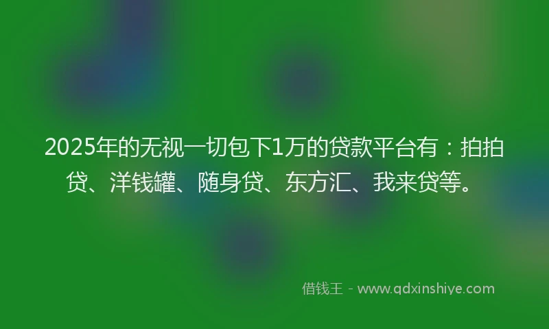 2025年的无视一切包下1万的贷款平台有：拍拍贷、洋钱罐、随身贷、东方汇、我来贷等。