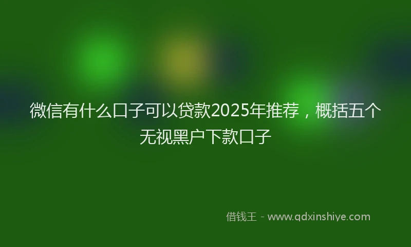 微信有什么口子可以贷款2025年推荐，概括五个无视黑户下款口子