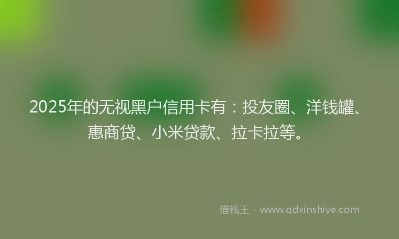 2025年的无视黑户信用卡有：投友圈、洋钱罐、惠商贷、小米贷款、拉卡拉等。