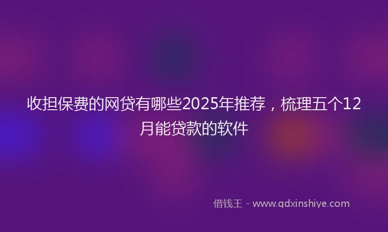 收担保费的网贷有哪些2025年推荐，梳理五个12月能贷款的软件