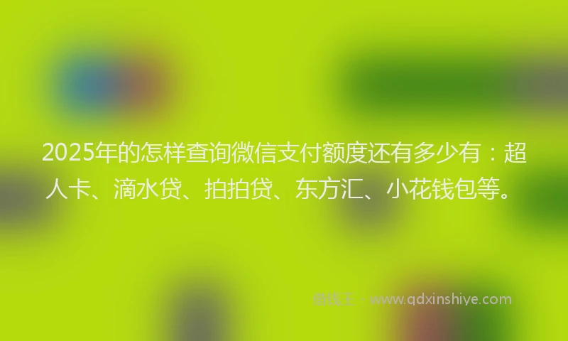 2025年的怎样查询微信支付额度还有多少有：超人卡、滴水贷、拍拍贷、东方汇、小花钱包等。