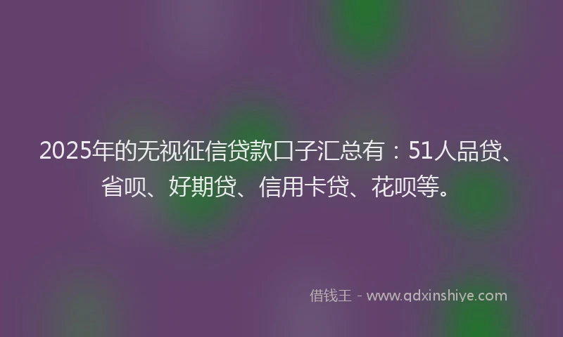 2025年的无视征信贷款口子汇总有：51人品贷、省呗、好期贷、信用卡贷、花呗等。