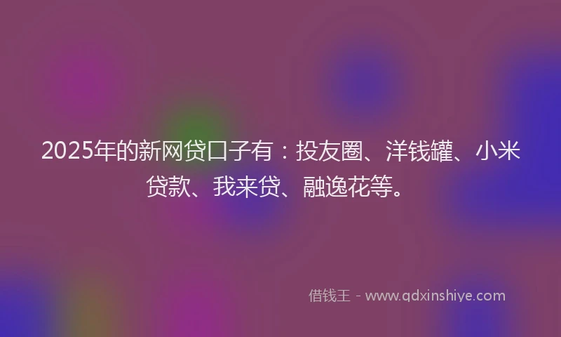 2025年的新网贷口子有：投友圈、洋钱罐、小米贷款、我来贷、融逸花等。