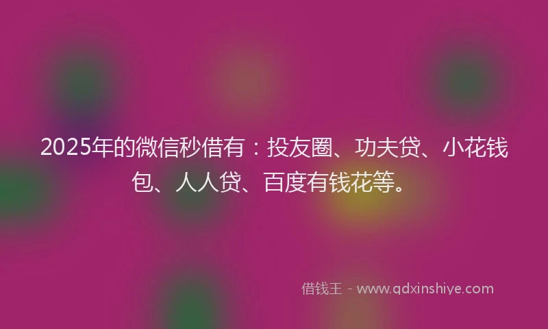 2025年的微信秒借有：投友圈、功夫贷、小花钱包、人人贷、百度有钱花等。
