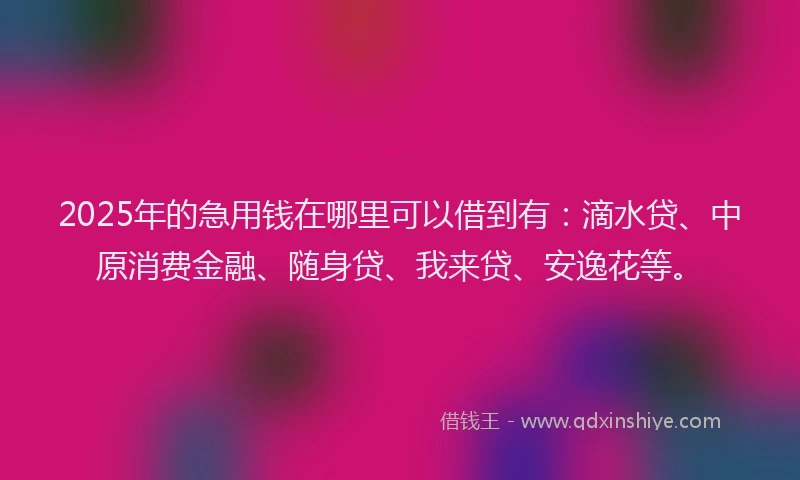 2025年的急用钱在哪里可以借到有：滴水贷、中原消费金融、随身贷、我来贷、安逸花等。