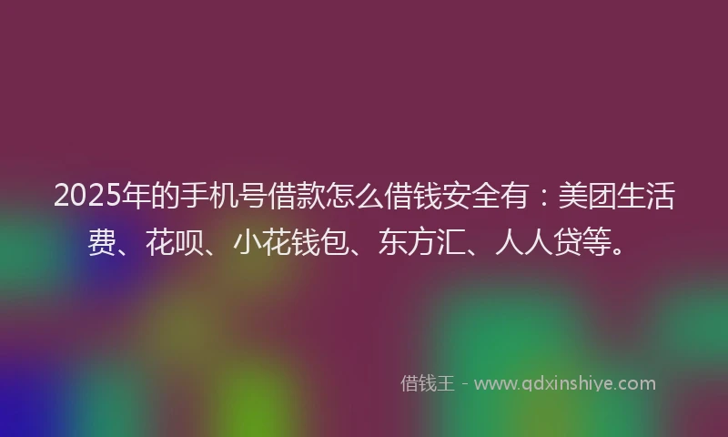 2025年的手机号借款怎么借钱安全有：美团生活费、花呗、小花钱包、东方汇、人人贷等。