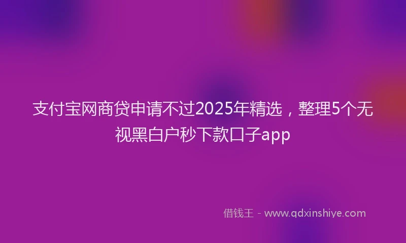 支付宝网商贷申请不过2025年精选，整理5个无视黑白户秒下款口子app