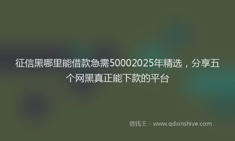 征信黑哪里能借款急需50002025年精选，分享五个网黑真正能下款的平台
