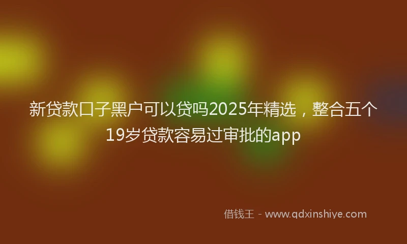 新贷款口子黑户可以贷吗2025年精选，整合五个19岁贷款容易过审批的app