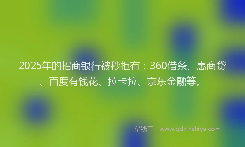 2025年的招商银行被秒拒有：360借条、惠商贷、百度有钱花、拉卡拉、京东金融等。