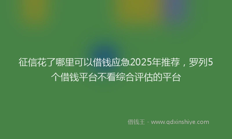 征信花了哪里可以借钱应急2025年推荐，罗列5个借钱平台不看综合评估的平台