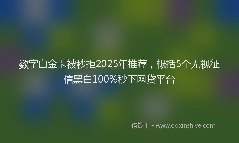 数字白金卡被秒拒2025年推荐，概括5个无视征信黑白100%秒下网贷平台