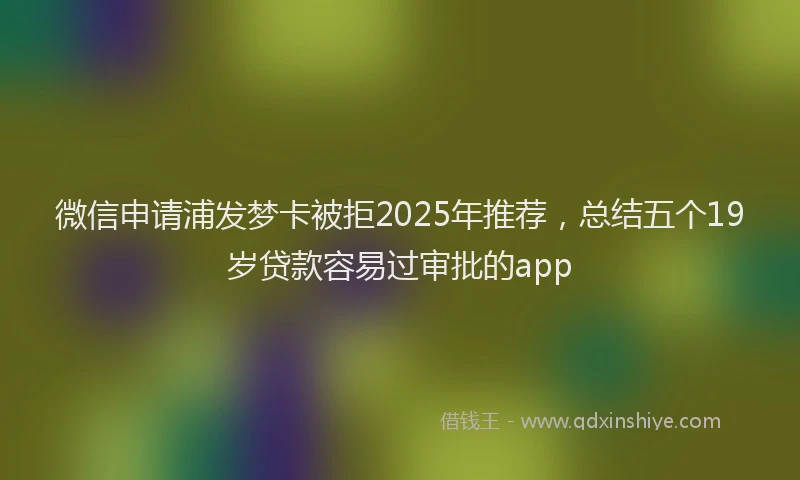微信申请浦发梦卡被拒2025年推荐，总结五个19岁贷款容易过审批的app