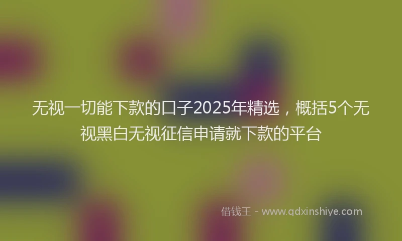 无视一切能下款的口子2025年精选，概括5个无视黑白无视征信申请就下款的平台