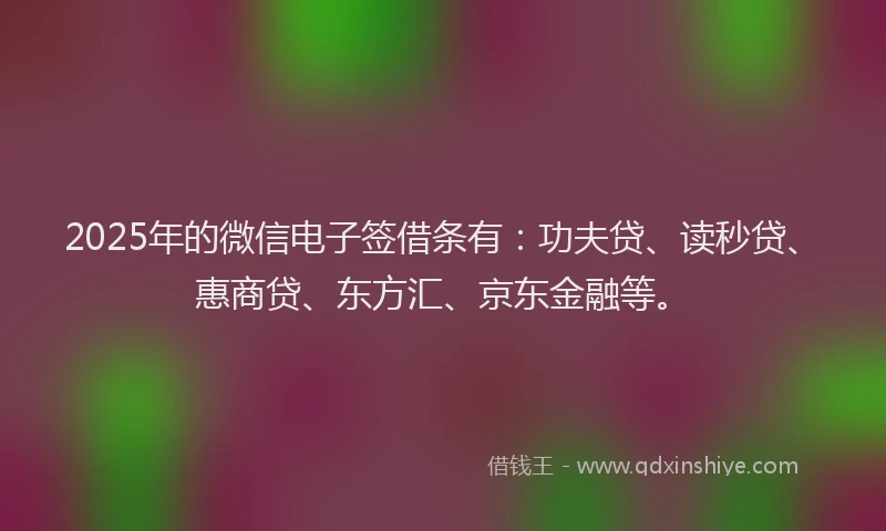 2025年的微信电子签借条有：功夫贷、读秒贷、惠商贷、东方汇、京东金融等。