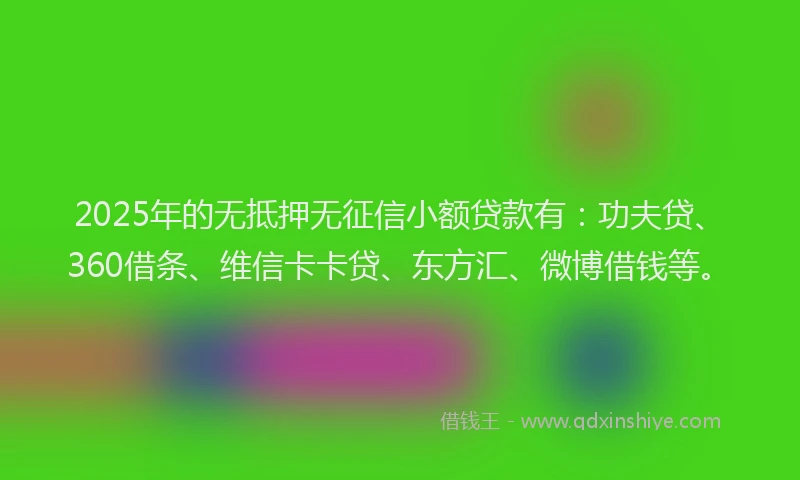 2025年的无抵押无征信小额贷款有：功夫贷、360借条、维信卡卡贷、东方汇、微博借钱等。