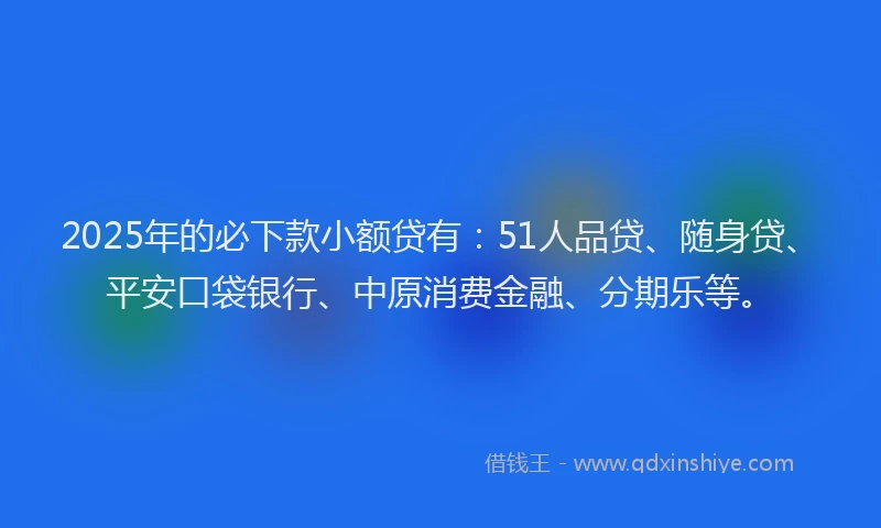 2025年的必下款小额贷有：51人品贷、随身贷、平安口袋银行、中原消费金融、分期乐等。