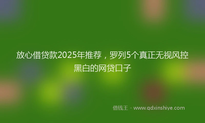 放心借贷款2025年推荐，罗列5个真正无视风控黑白的网贷口子