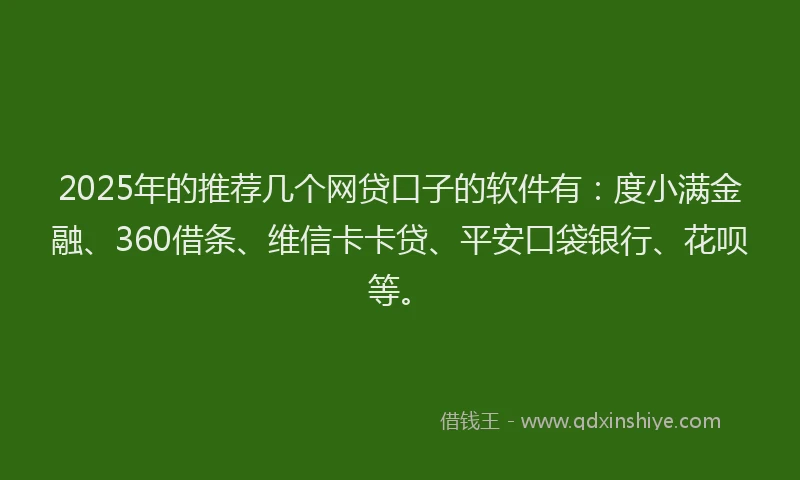 2025年的推荐几个网贷口子的软件有：度小满金融、360借条、维信卡卡贷、平安口袋银行、花呗等。