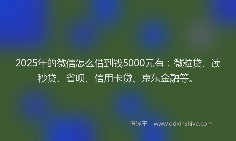 2025年的微信怎么借到钱5000元有：微粒贷、读秒贷、省呗、信用卡贷、京东金融等。