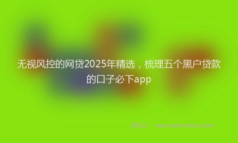 无视风控的网贷2025年精选，梳理五个黑户贷款的口子必下app