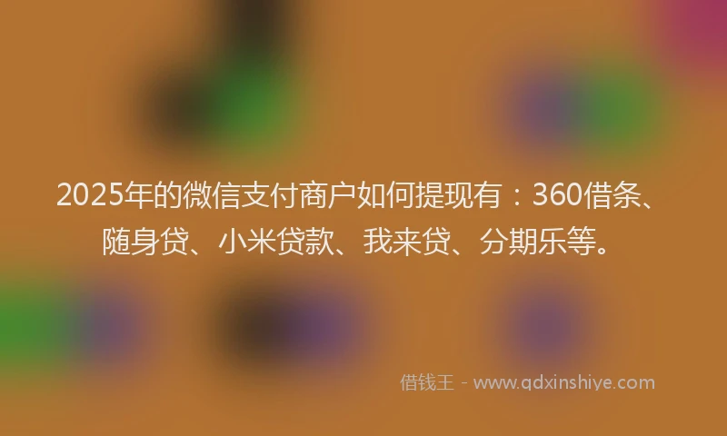 2025年的微信支付商户如何提现有：360借条、随身贷、小米贷款、我来贷、分期乐等。