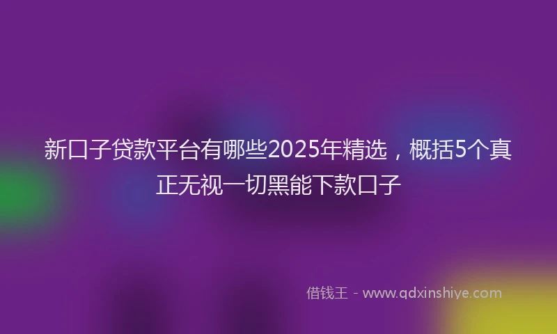 新口子贷款平台有哪些2025年精选，概括5个真正无视一切黑能下款口子