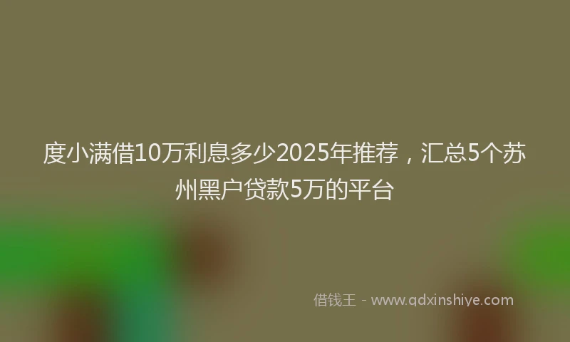 度小满借10万利息多少2025年推荐，汇总5个苏州黑户贷款5万的平台