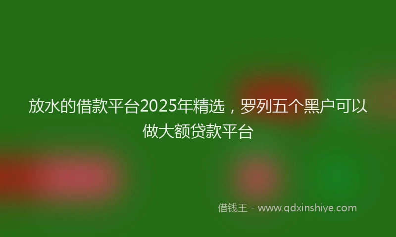 放水的借款平台2025年精选，罗列五个黑户可以做大额贷款平台