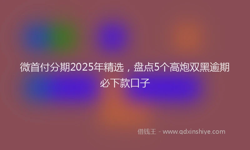 微首付分期2025年精选，盘点5个高炮双黑逾期必下款口子