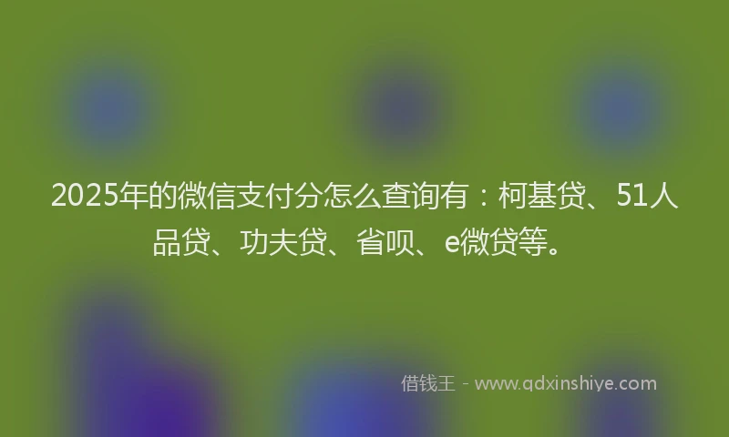 2025年的微信支付分怎么查询有：柯基贷、51人品贷、功夫贷、省呗、e微贷等。