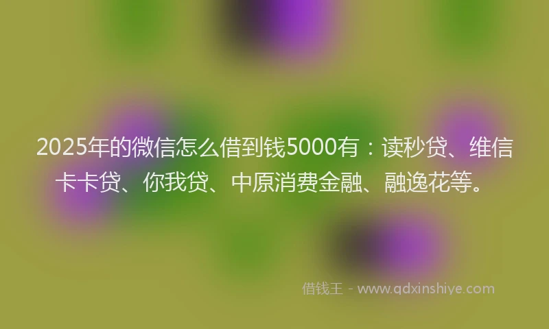 2025年的微信怎么借到钱5000有：读秒贷、维信卡卡贷、你我贷、中原消费金融、融逸花等。