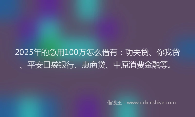 2025年的急用100万怎么借有：功夫贷、你我贷、平安口袋银行、惠商贷、中原消费金融等。