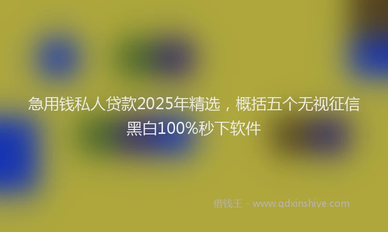 急用钱私人贷款2025年精选，概括五个无视征信黑白100%秒下软件