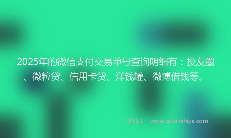 2025年的微信支付交易单号查询明细有：投友圈、微粒贷、信用卡贷、洋钱罐、微博借钱等。