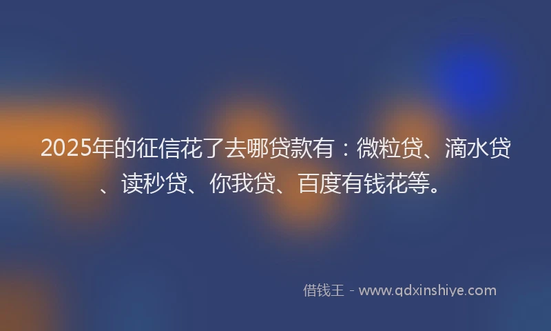 2025年的征信花了去哪贷款有：微粒贷、滴水贷、读秒贷、你我贷、百度有钱花等。