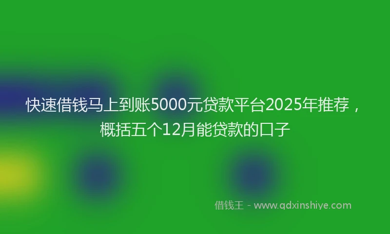 快速借钱马上到账5000元贷款平台2025年推荐，概括五个12月能贷款的口子