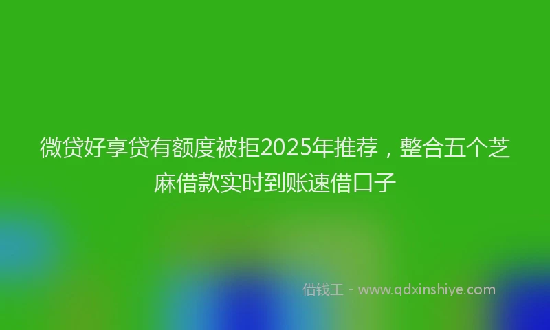 微贷好享贷有额度被拒2025年推荐，整合五个芝麻借款实时到账速借口子
