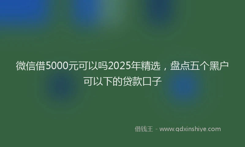 微信借5000元可以吗2025年精选，盘点五个黑户可以下的贷款口子