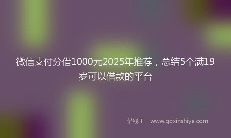微信支付分借1000元2025年推荐，总结5个满19岁可以借款的平台