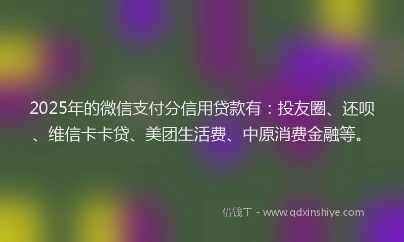 2025年的微信支付分信用贷款有：投友圈、还呗、维信卡卡贷、美团生活费、中原消费金融等。