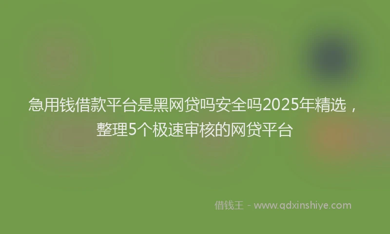 急用钱借款平台是黑网贷吗安全吗2025年精选，整理5个极速审核的网贷平台
