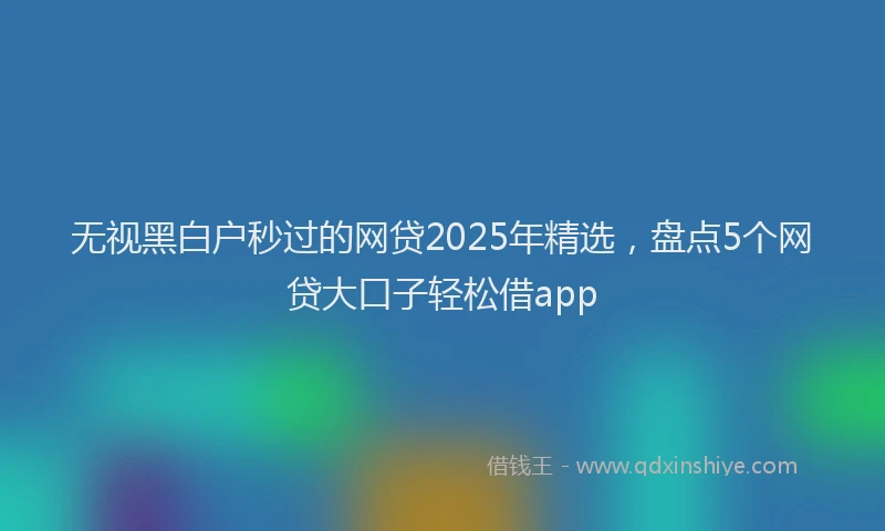 无视黑白户秒过的网贷2025年精选，盘点5个网贷大口子轻松借app