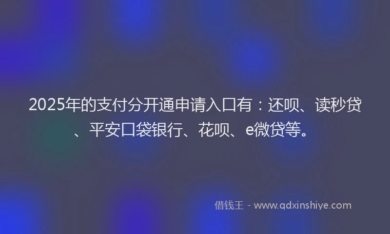 2025年的支付分开通申请入口有：还呗、读秒贷、平安口袋银行、花呗、e微贷等。