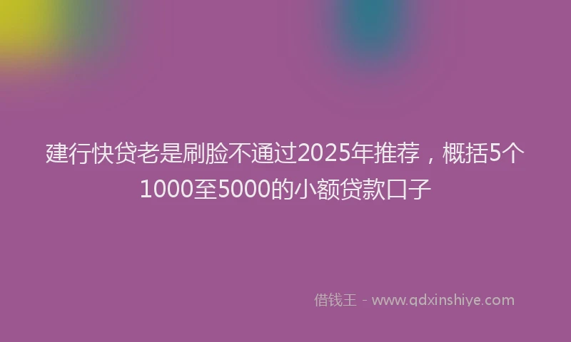 建行快贷老是刷脸不通过2025年推荐，概括5个1000至5000的小额贷款口子