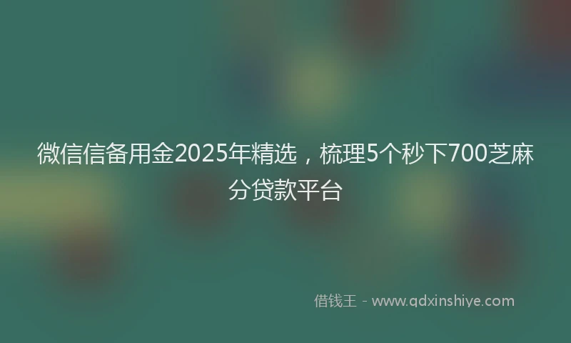 微信信备用金2025年精选，梳理5个秒下700芝麻分贷款平台