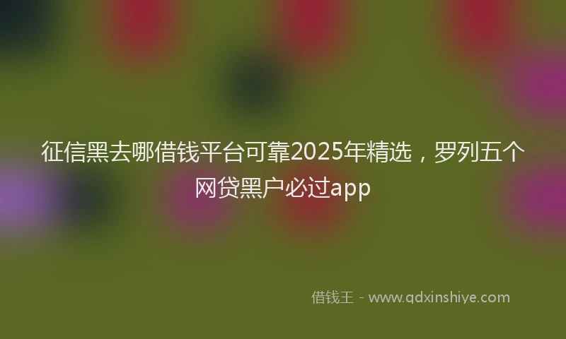 征信黑去哪借钱平台可靠2025年精选，罗列五个网贷黑户必过app