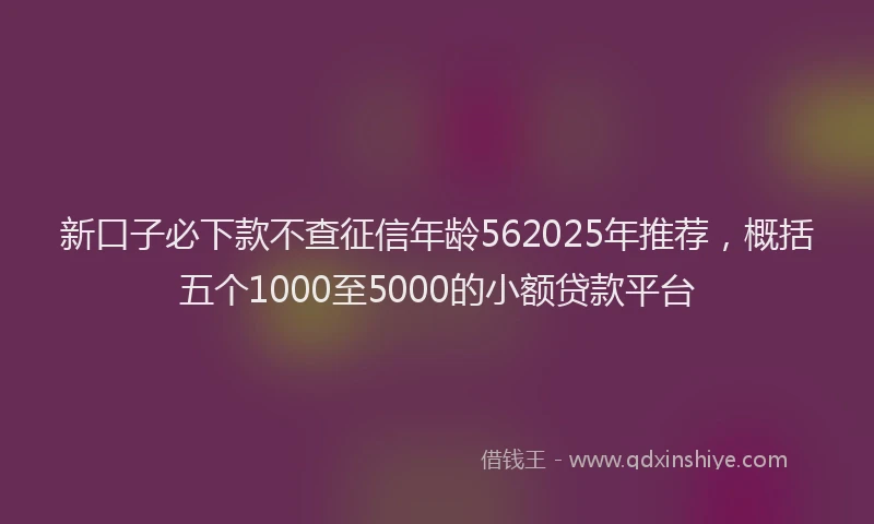 新口子必下款不查征信年龄562025年推荐，概括五个1000至5000的小额贷款平台