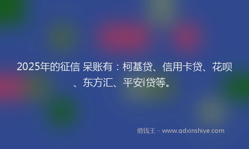 2025年的征信 呆账有：柯基贷、信用卡贷、花呗、东方汇、平安i贷等。